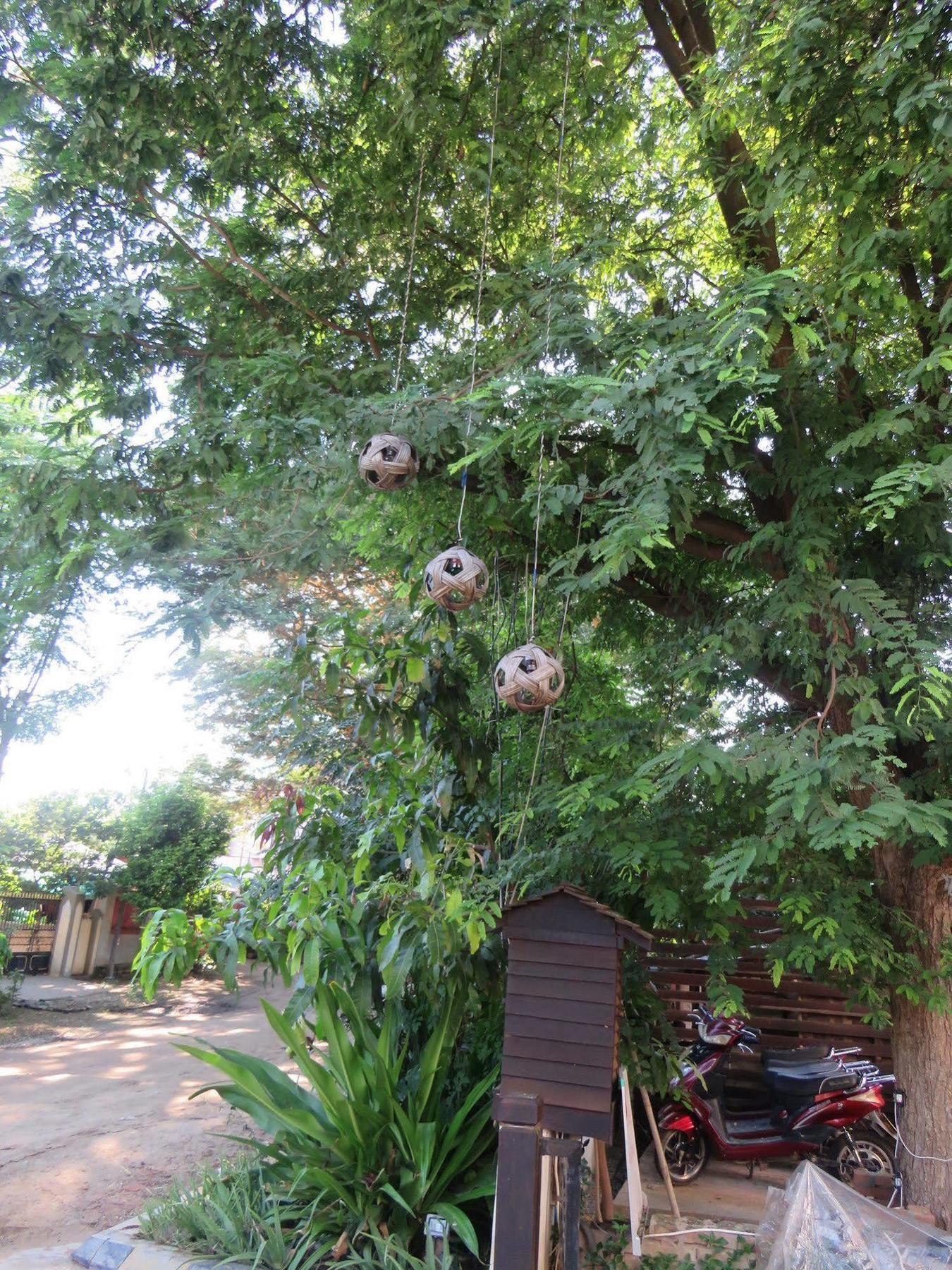 Bagan Nova Hotel New Bagan Eksteriør billede